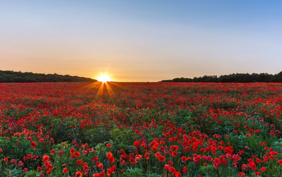 ‘beat365官网中文’下一站我的大学我的朋友很少怎么达成 我的朋友很少成就攻